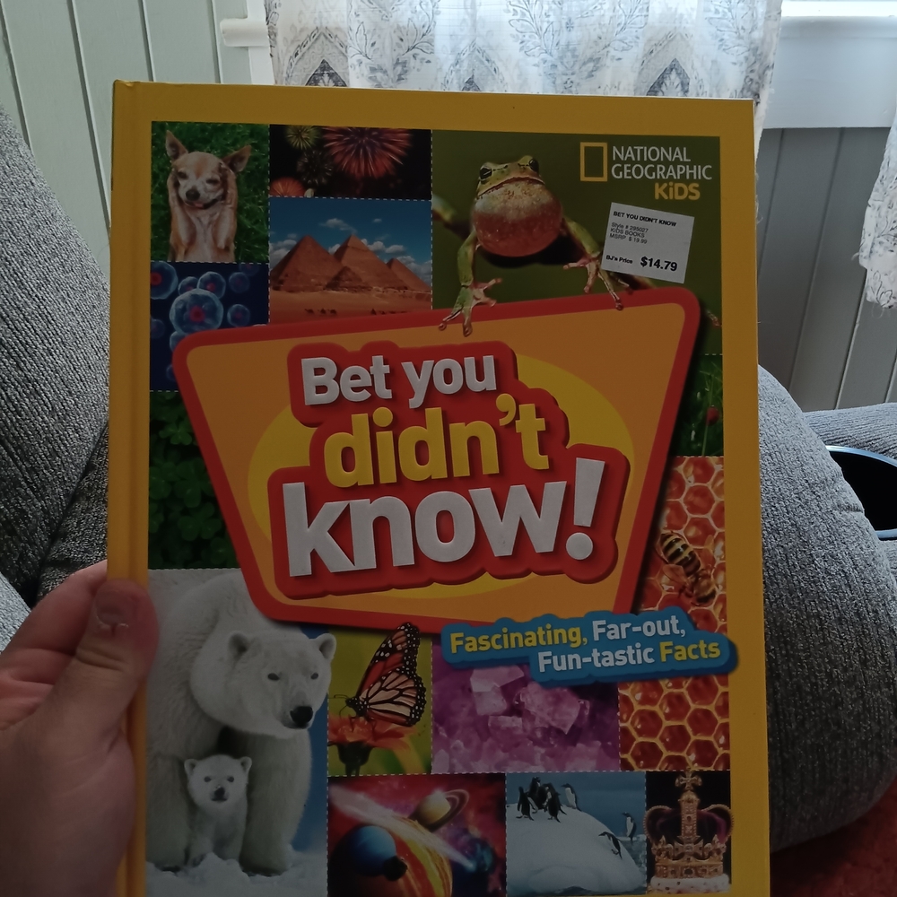 National Geographic Kids "Bet You Didn't Know!" - Bright Yellow Trivia Book